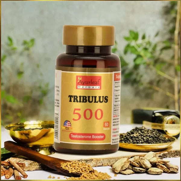 tribulus 500